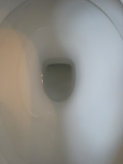 Clean Toilet After Using Lysol 2
