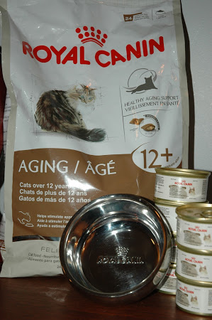 Royal Canin Aging Cat Food