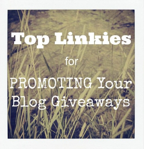 Top Linkies Blog Giveaways-500