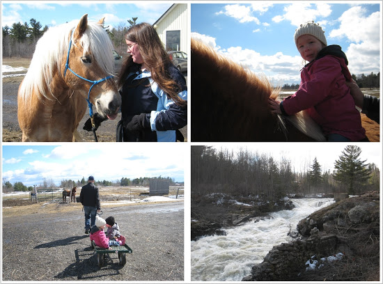 Horse Riding Collage