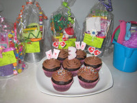 Loot Bag Lady Birthday Party