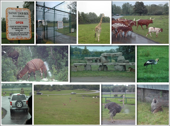 African Lion Safari Bus Tour African Lion Safari Bus Tour