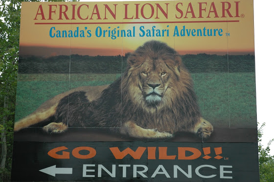 African Lion Safari Entrance Sign African Lion Safari Entrance Sign
