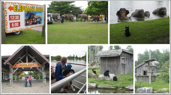 African Lion Safari Events African Lion Safari Events